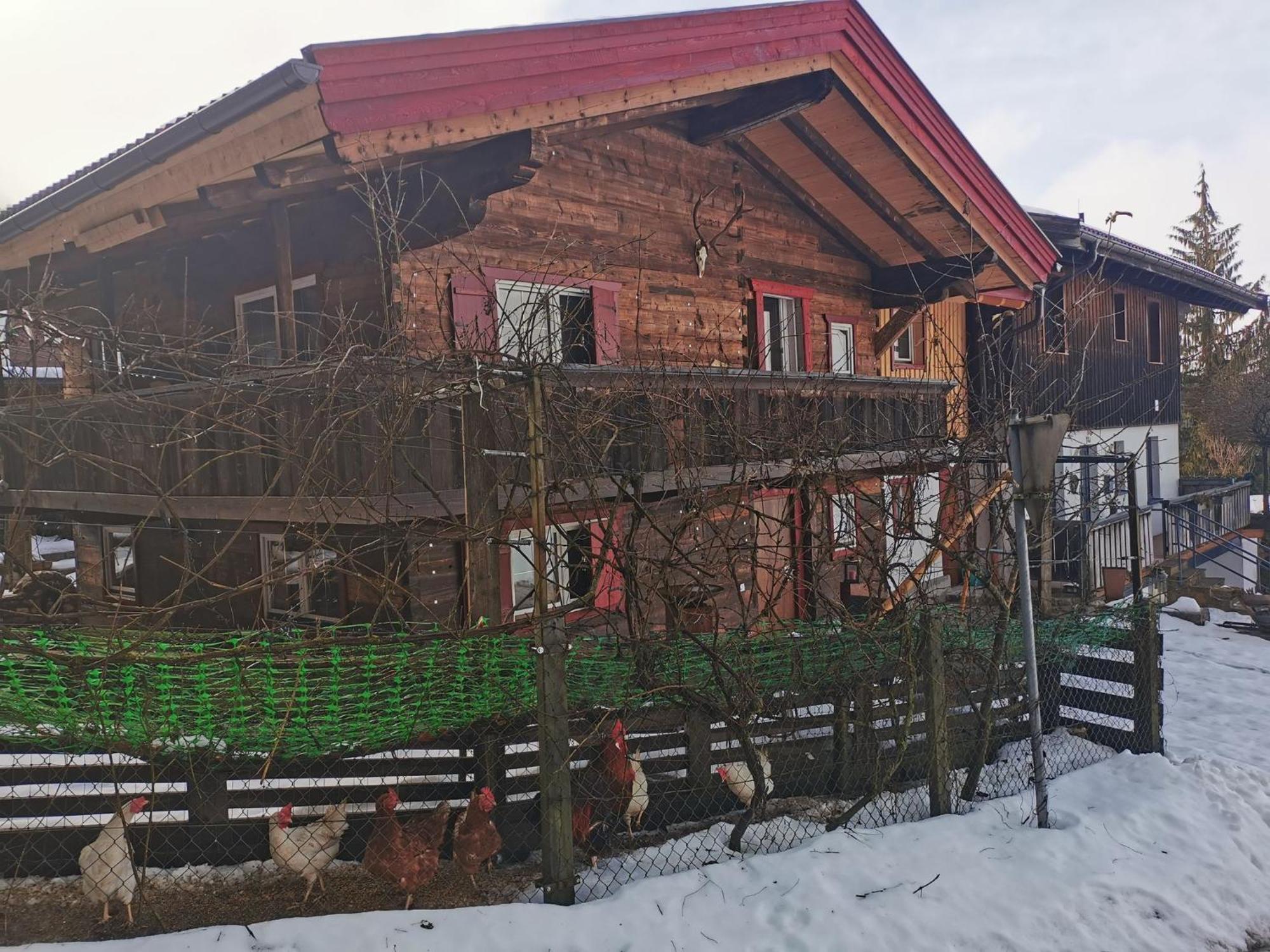Kaiserhaus Harald Astner Ebbs Studio 2 Buitenkant foto